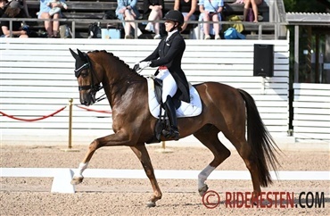 Duerrhammer i GP-debut med Vividus