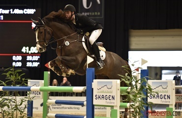 Auktionsf&oslash;l med international succes