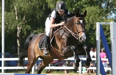 Pinsest&aelig;vne med championatsopvarmning