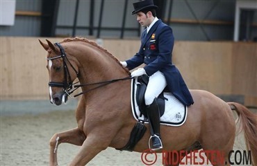 Dressur mod vest 