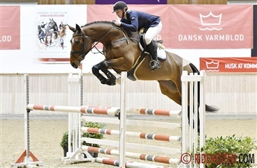 Dagens auktionshest: Birkn&aelig;s Claudia