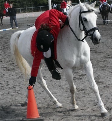 Landsfinalerne 2008