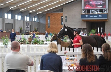 Sommerens f&oslash;lskuer er lige om hj&oslash;rnet