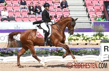 Schweizisk mesterskab med DV-heste