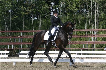Flere dobbelt-vindere ved ridest&aelig;vne i Tarup