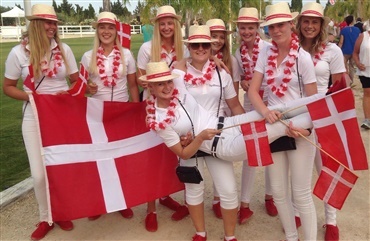 Alle danskere igennem vet tjek