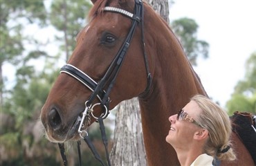 Paragon - et begrundet medaljeh&aring;b