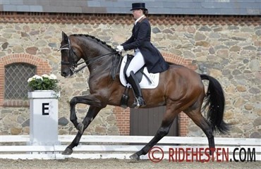 Samlet vinder af Youngster Cup i dressur