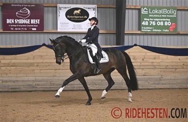 Jeanette Sund i top med to GP-heste