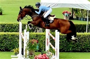 Sophia Studd har succes i Wellington 