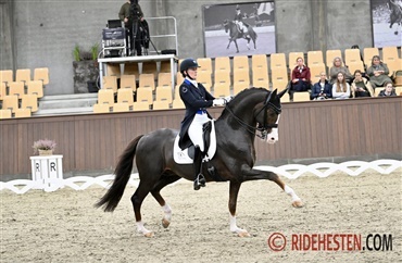 De skal til World Cup finalen