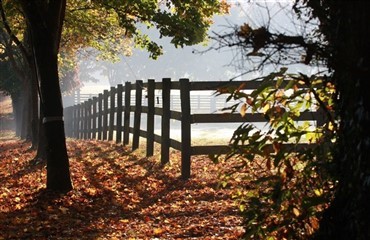 Har du efter&aring;rsplaner?