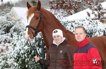 Nye hjemmeside til Hestengen Dressage
