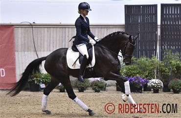 &Aring;rets sidste championatskvalifikation i dressur