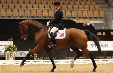 Ny hest i Edward Gal clinic