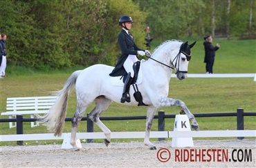 Sidste Ecco Cup-kvalifikation afgjort