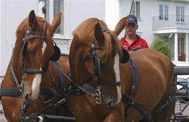 Dramatisk konfimandk&oslash;rsel i Arden