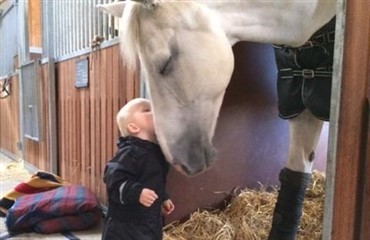 Et l&aelig;serbillede har indtaget Facebook