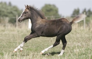 Ny forskning: tidlig motion