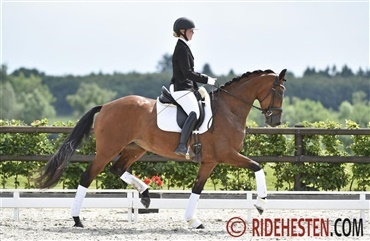 Blue Hors championater skudt i gang
