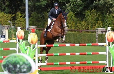 20 avlsforbund klar til Studbook Trophy