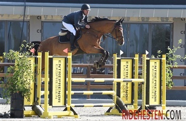 Springchampionat hos Stutteri Ask