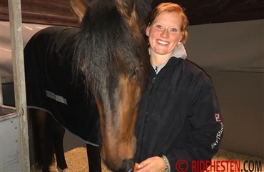 Som groom har man travlt til hingstek&aring;ring