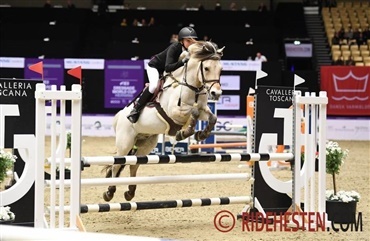 Fjordhest til Baltic Cup for f&oslash;rste gang