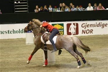 1. plads til de danske juniorer i Mounted Games