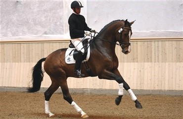 Afslutning af 10-dages test