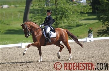 Donares solgt til England 