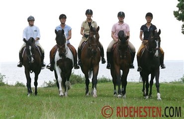 Tre Tr&aelig;ner 1-hold i 2013