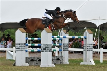 Dansk Grand Prix-springhest i USA