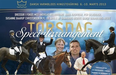 Specialarrangementer i Herning 2013