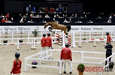 Johnny Hansen: S&aring;dan bed&oslash;mmes springhingstene