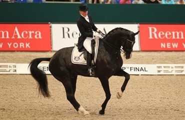 DV-hest til OL