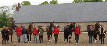 Fem heste solgt p&aring; salgsdagen