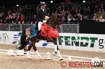 Ingen er som Donkey Boy (video)