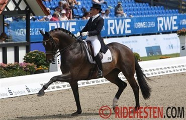 Det svenske landshold 2013