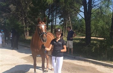 Fra ponyrytter i springning til Europamester i dressur