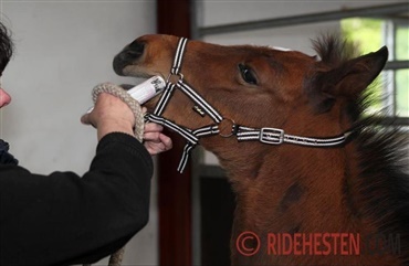 S&aring; er det ormetid