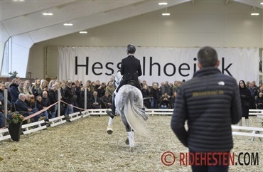 Afkomschampionat hos Hesselhoej 