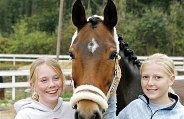Sparetip til rideklubben, del 2