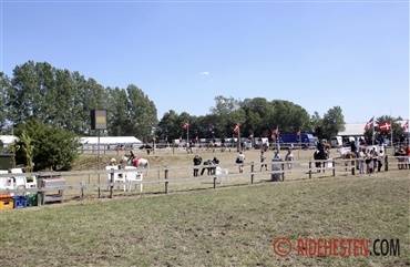 Kom til D4 Horseshow