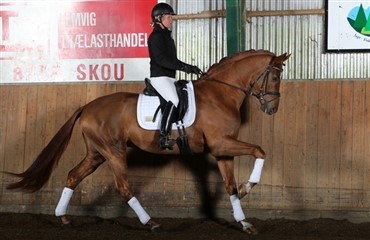 Resultat af 35 dages materialpr&oslash;ve