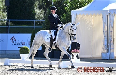 Internationale starter - uge 29