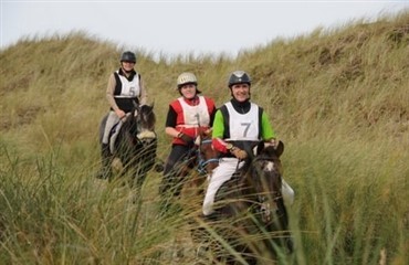 Bl&aring;bjerg Ridtet 2011