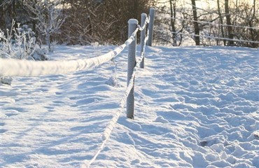 Opsyn med vinterfolden 