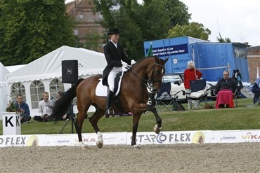 Dressuroplevelser i weekenden