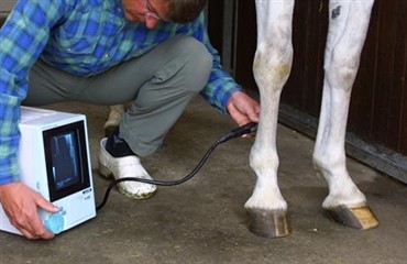 PRP, ABMA og seneskader